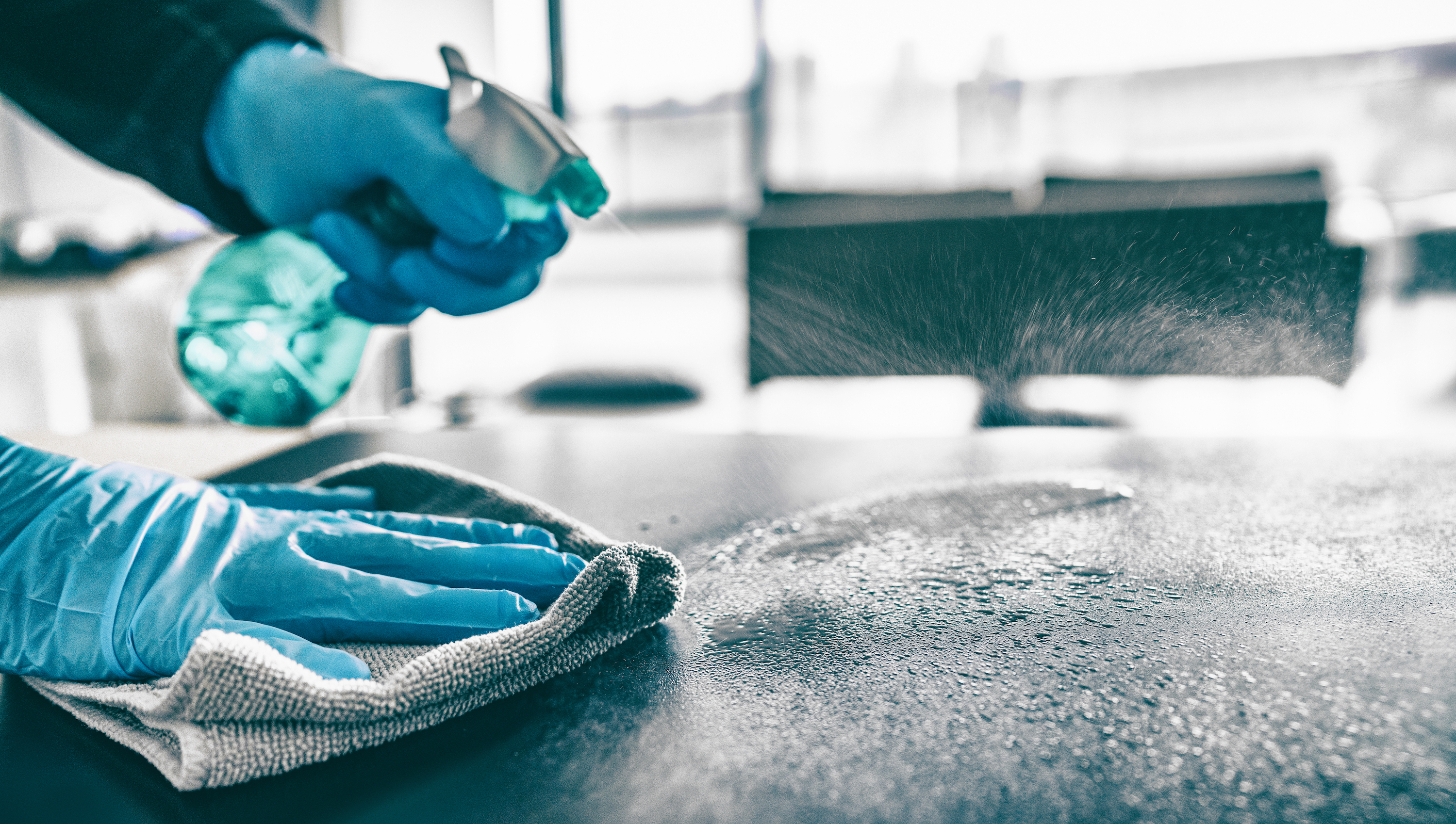 professional cleaning service